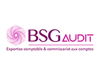 BSG Audit BSG Audit