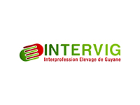 Intervig Intervig